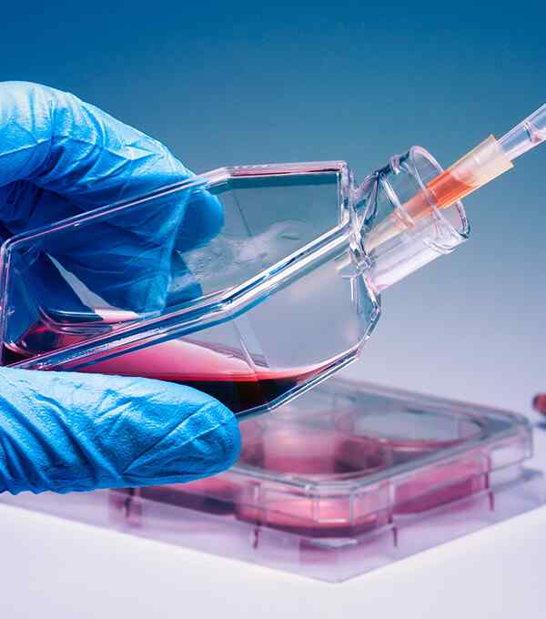 https://intilabperu.com/wp-content/uploads/2020/04/service_5.jpg